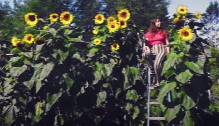 Changer le mal de place